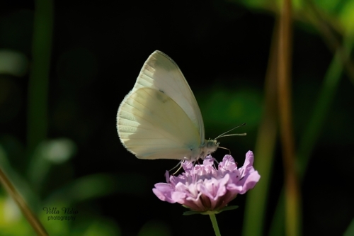 12A7R03876-studio