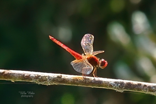 28A7R03993-studio-studio