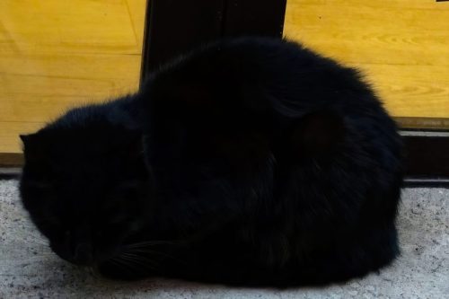 _7R32370-topaz-upscale-2.8x