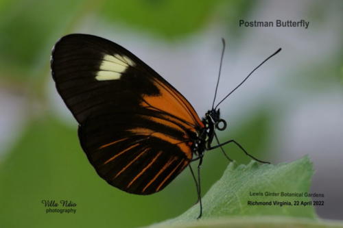 A7R01758-topaz-enhance-studio