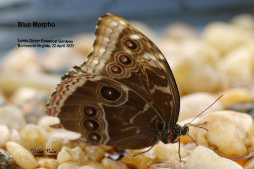 A7R01764-topaz-studio