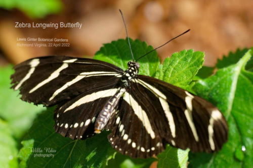 A7R01765-topaz-enhance-studio