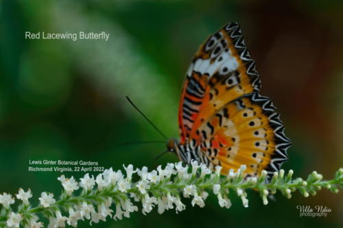 A7R01769-studio-studio