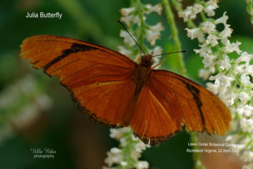 A7R01771-topaz-enhance-studio