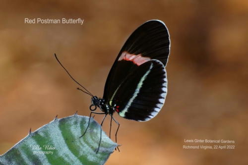 A7R01808-topaz-enhance-studio