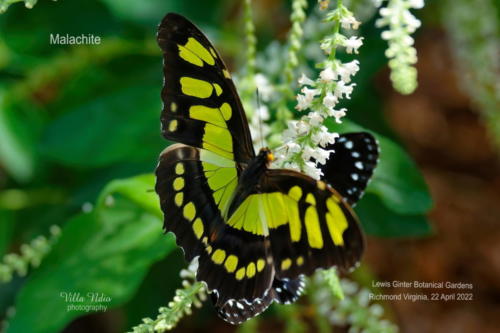 A7R01817-studio-studio