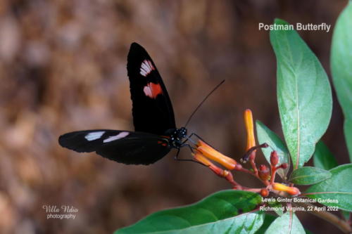 A7R01827-topaz-denoise-enhance-sharpen-studio