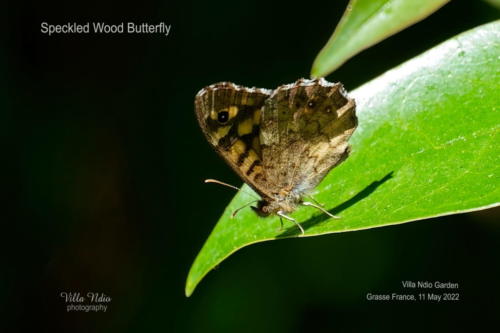 A7R02251-topaz-enhance-studio