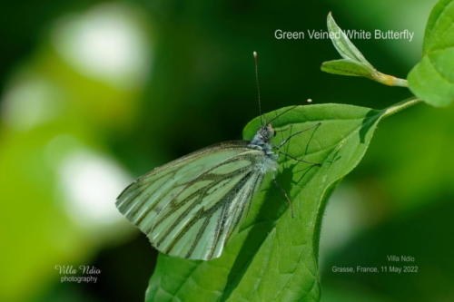 A7R02269-topaz-enhance-studio