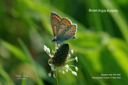 A7R02321-topaz-enhance-studio