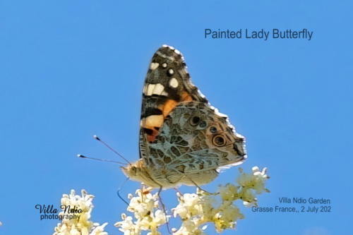 A7R03485-topaz-enhance-studio