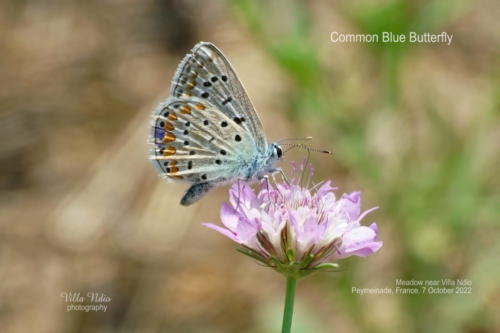 A7R03670-topaz-enhance-studio