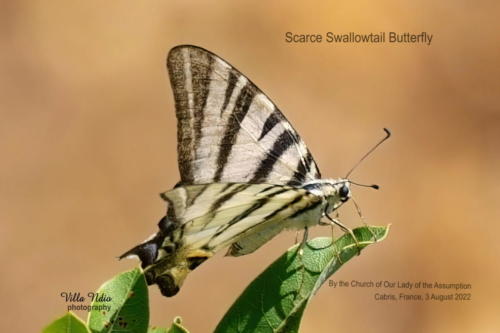 A7R03794-topaz-enhance-studio-studio