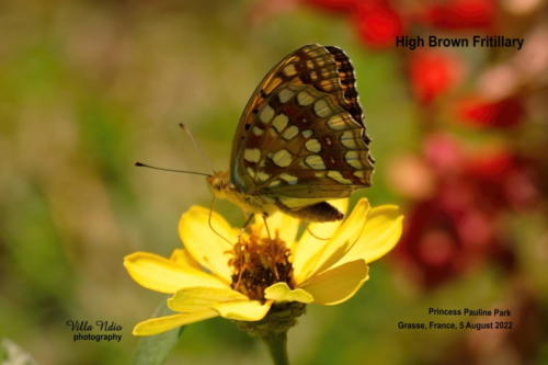 A7R03829-topaz-enhance-studio