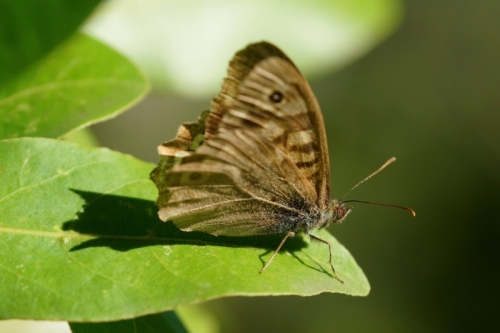 A7R09373-topaz-sharpen