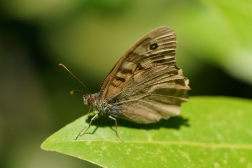 A7R09377-topaz-sharpen