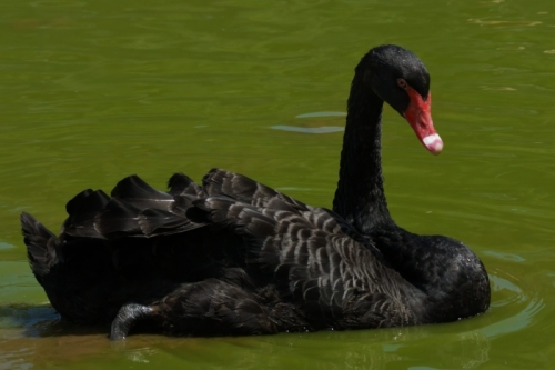 DSC00089-topaz-denoise