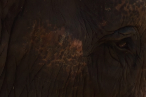 DSC00164-topaz-denoise-enhance-4x