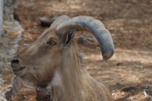 DSC00391-topaz-denoise-sharpen