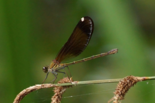 DSC00759-topaz-enhance-2.2x