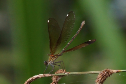 DSC00765-topaz-enhance-2x