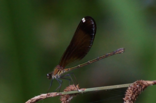 DSC00771-topaz-enhance-2.2x