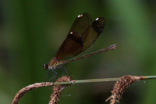 DSC00776-topaz-enhance-2x