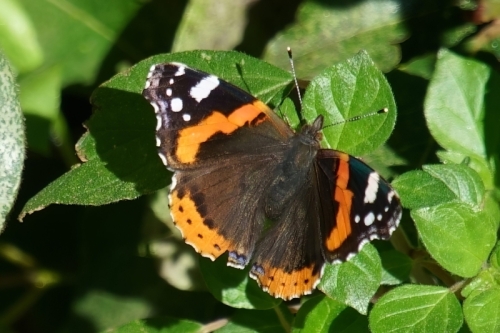 DSC02182-topaz-enhance-4x