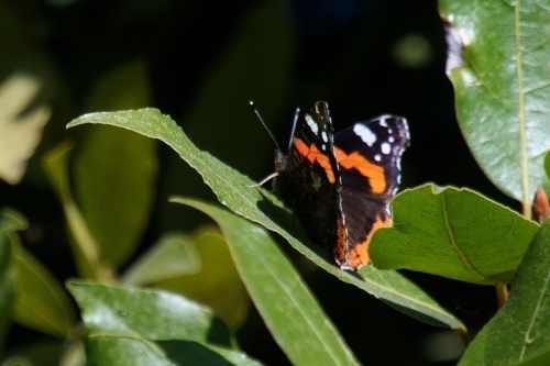 DSC02189-topaz-enhance-3.1x