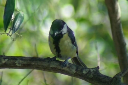 DSC03971-topaz-enhance-4x