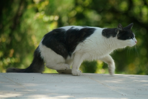 DSC04005-topaz-sharpen