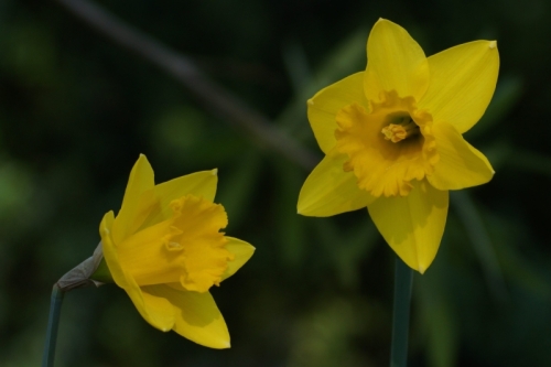 DSC09051-topaz-sharpen