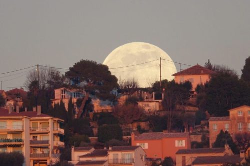 RXX09738-studio-studio