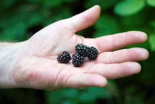 7R39658-topaz-denoiseraw-sharpen