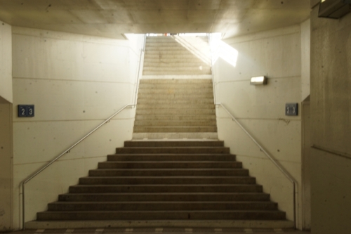 DSC08505-topaz-sharpen