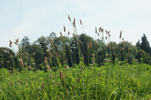 DSC08507-topaz-sharpen